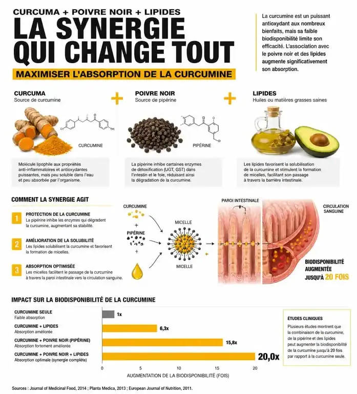 Infographie montrant comment consommer le curcuma avec du poivre et des matières grasses pour une meilleure absorption