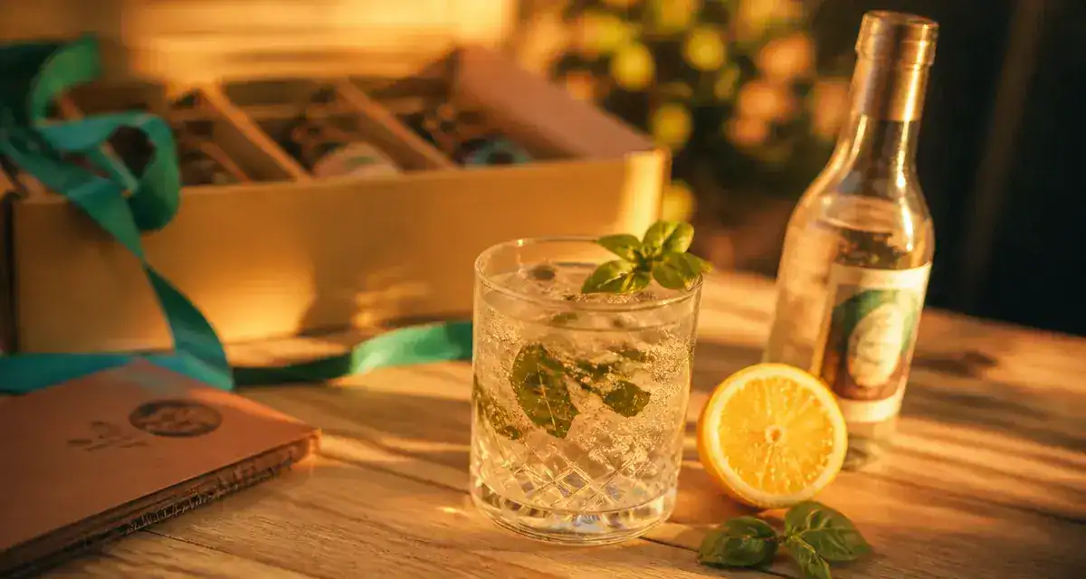 Top drinks : box sans alcool et cocktail virgin garden, tonic, glaçons, basilic